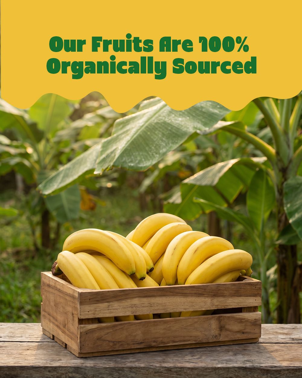 Banana Crunch Bites