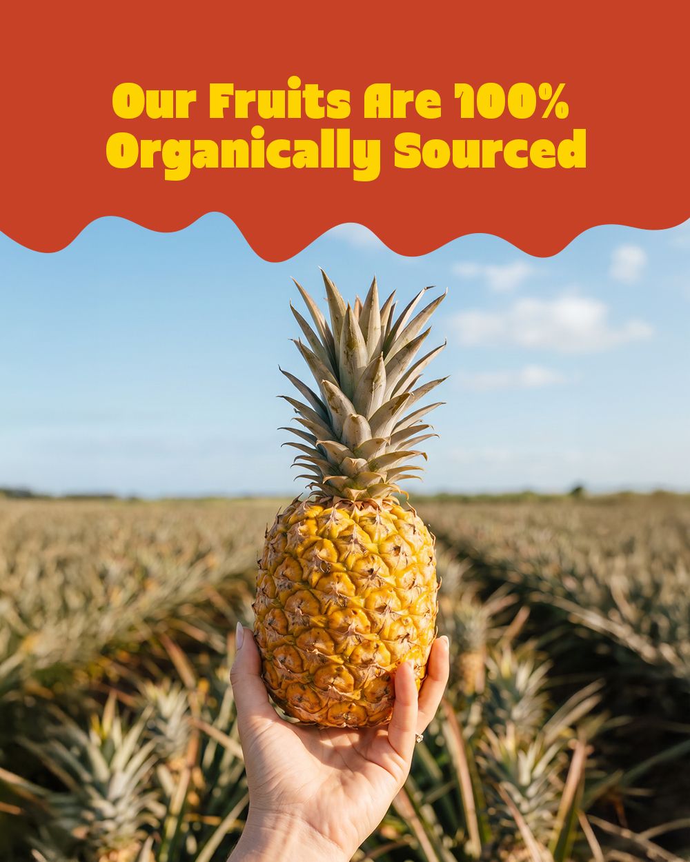 Pineapple Crunch Bites